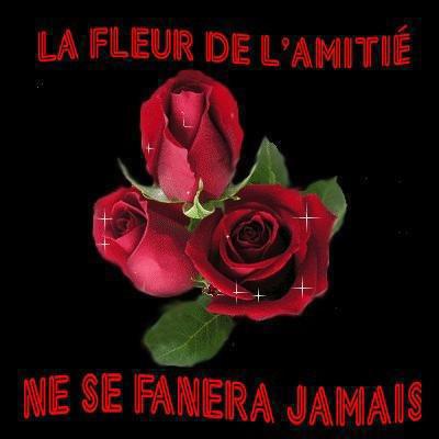 fleur de l'amitié