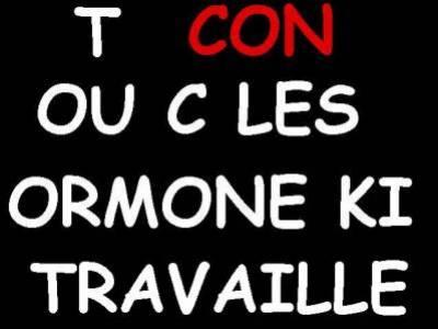 t con ou koi