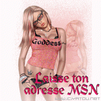 LAISSE TON ADRESSE MSN ???