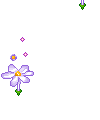 fleurs