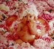 Y TROP CHOU