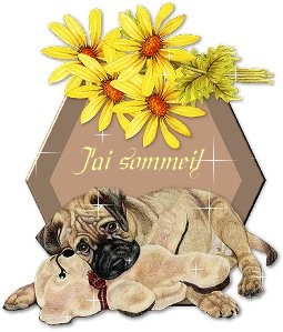 jai sommeil